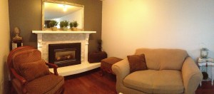 terry's projects 463