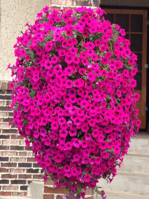 terry's projects 052