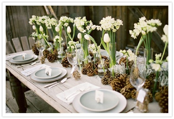 Paper whites from pinterest