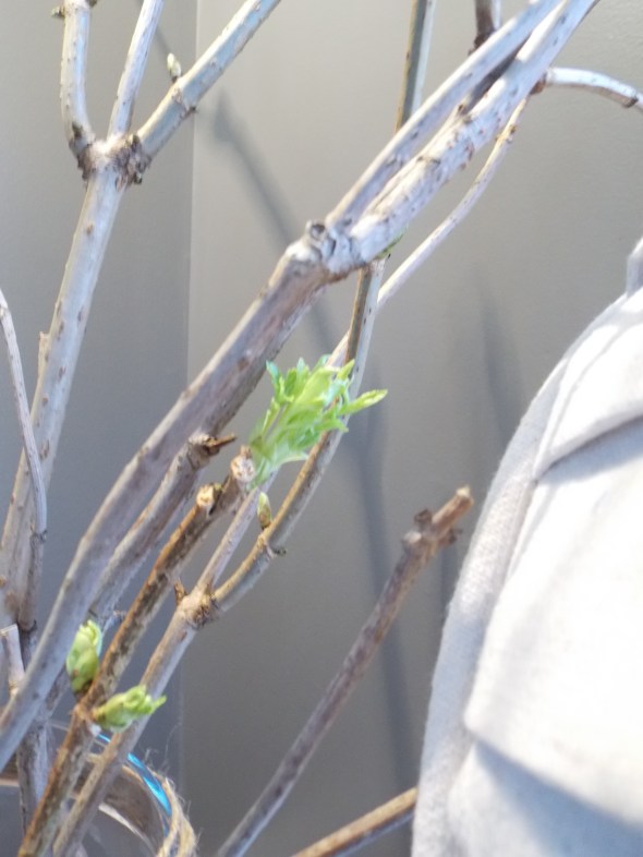 Slpi covered antique chair,desk redo, spring buds 203