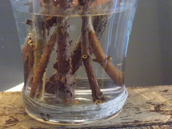 Slpi covered antique chair,desk redo, spring buds 214