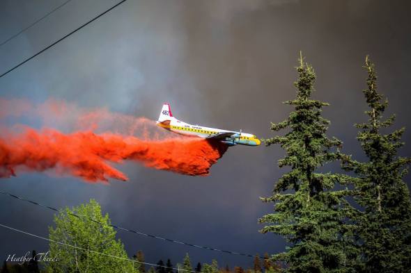 13147340_1043328675733640_6805637952811000166_o